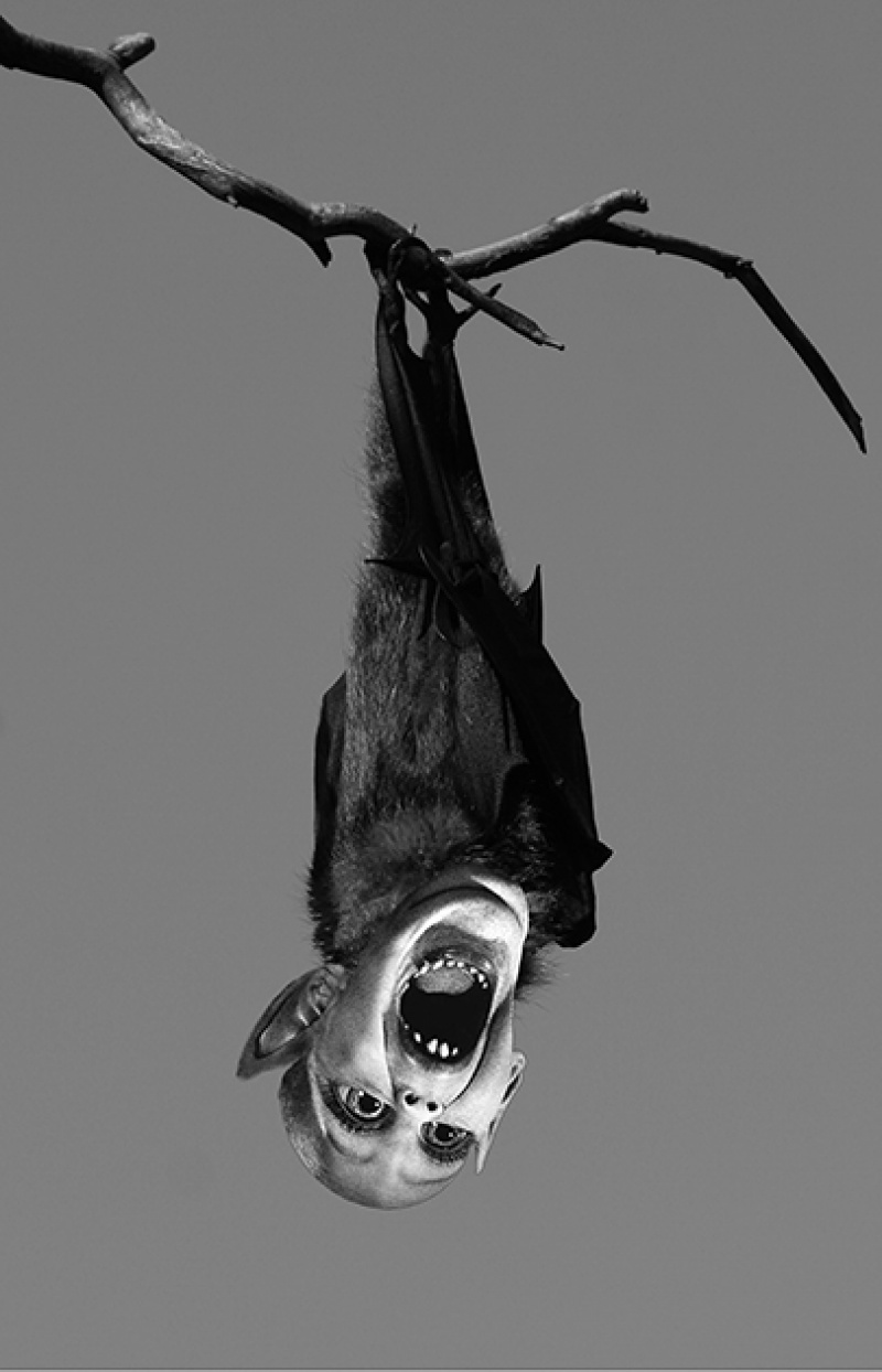 Bat Boy: The Musical