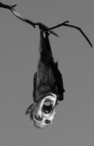 Bat Boy: The Musical Poster