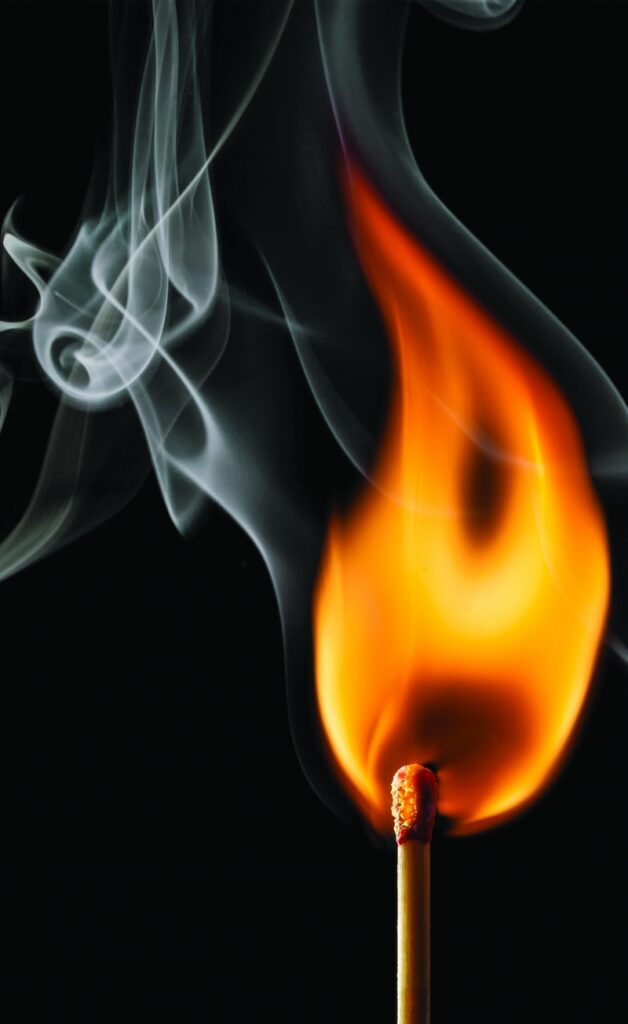 Firebugs-5.5x8.5- Poster