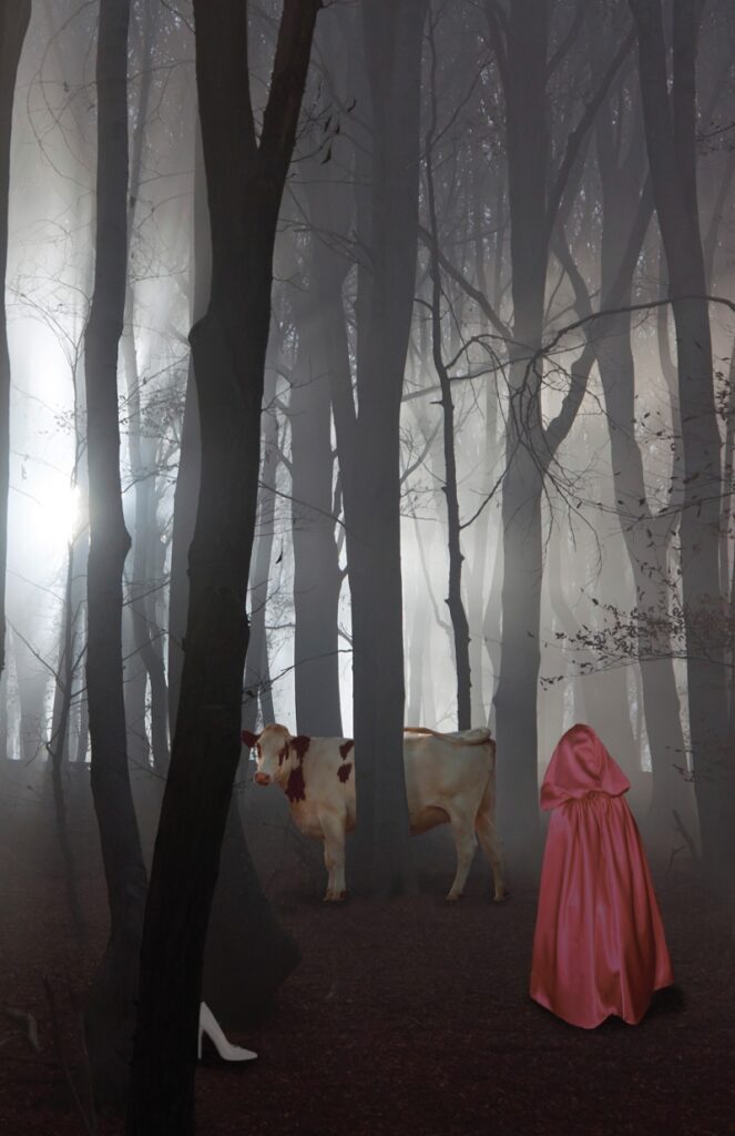 Into the woods poster