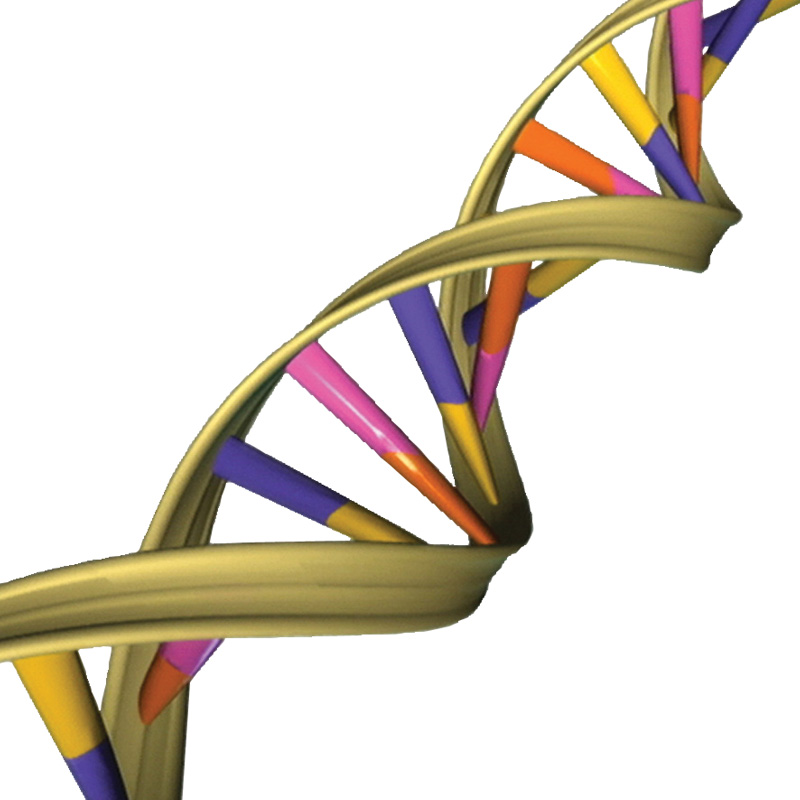 The Twilight of the Golds poster