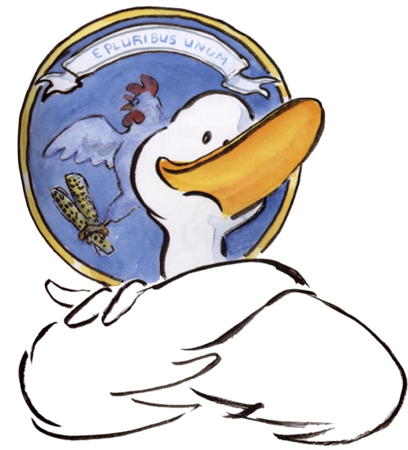 duck-for-web-small poster