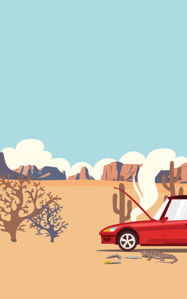 Candy & Shelley Go to the Desert