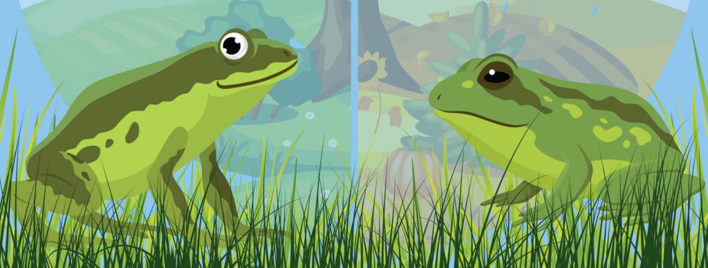A Year with Frog and Toad poster