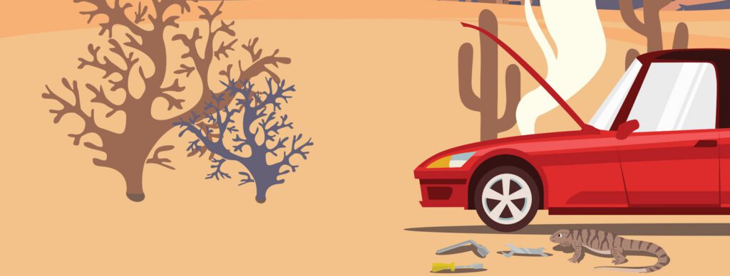 Candy & Shelley Go to the Desert poster